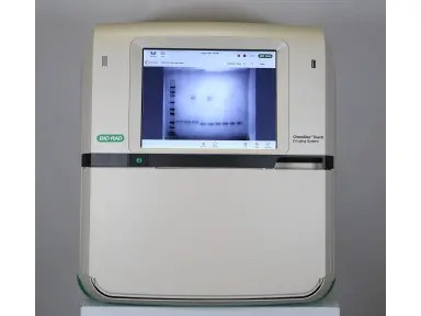 Biorad-ChemiDoc-Touch.3 BIORAD ChemiDoc Touch